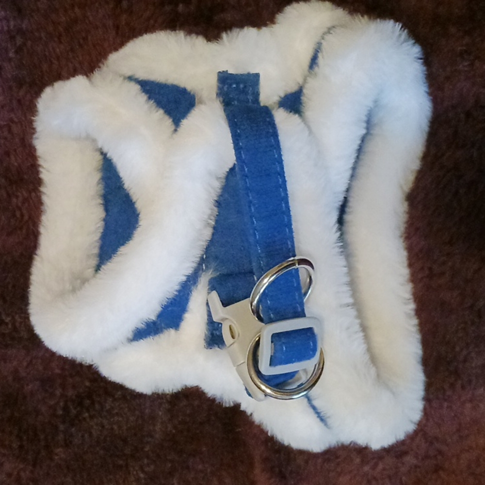 Dog vest